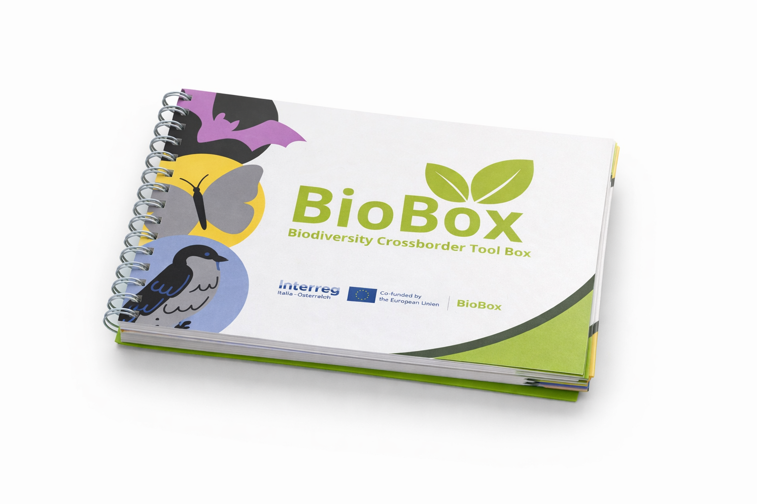 ChatGPT Image 2 feb 2026, 15_38_01